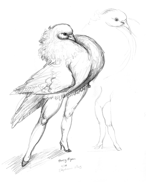 Fancy pigeon, tekening van S. Metz (2004)
