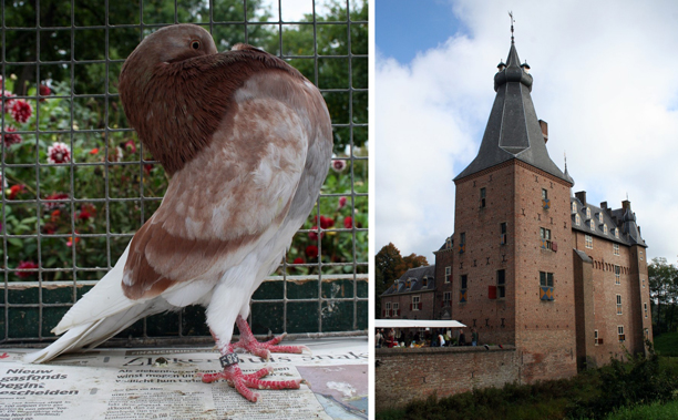Slenkendag Doorwerth (P. Jansma, 2014)